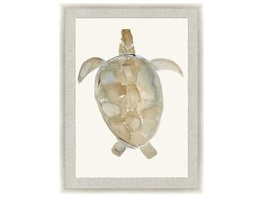 Paragon Neutral Turtle-I Wall Art PAD32022