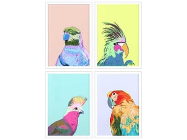 Paragon Friendly Parrots Wall Art Set of 4 PAD32058