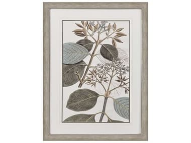 Paragon Florals Flowering Botanical-I Wall Art PAD32116