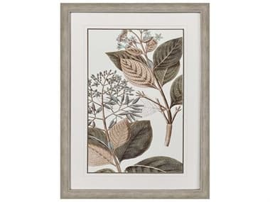 Paragon Florals Flowering Botanical-III Wall Art PAD32118