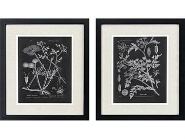 Paragon Florals Mono Botanicals-I Wall Art Set of 2 PAD32145