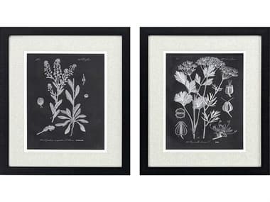 Paragon Florals Mono Botanicals-II Wall Art Set of 2 PAD32146