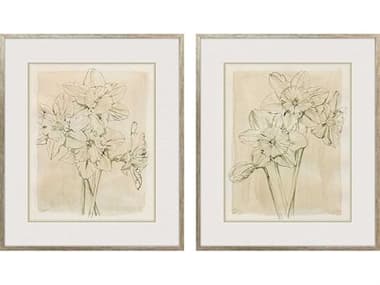 Paragon Florals Spring Promises Wall Art Set of 2 PAD32218