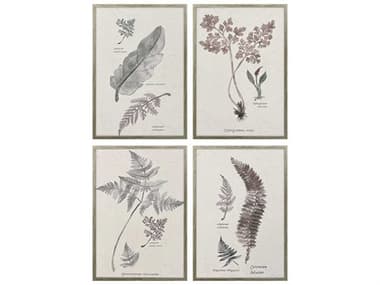 Paragon Florals Fern Study Wall Art Set of 4 PAD32302