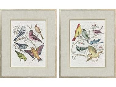 Paragon Animals Bird Variety Wall Art Set of 2 PAD32326