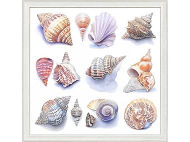 Paragon Naturals Shell Factory-I Wall Art PAD32342