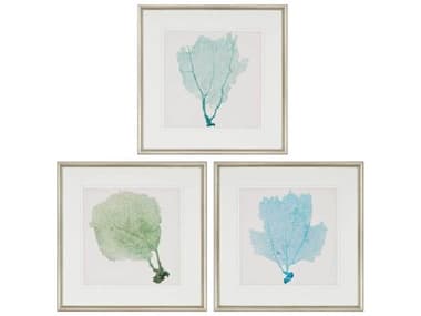 Paragon Naturals Sea Fan-I Wall Art Set of 3 PAD3651