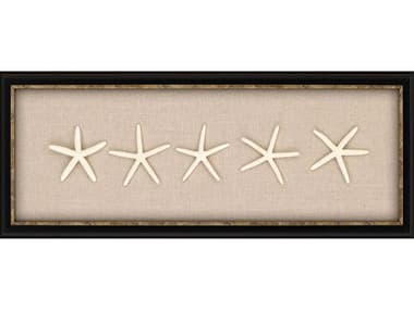 Paragon Naturals Starfish Shadow Box PAD3753