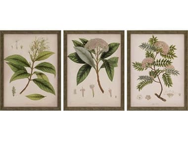 Paragon Florals Plants-II Wall Art Set of 3 PAD3886