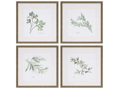 Paragon Culinary Herbs Wall Art Set of 4 PAD3970