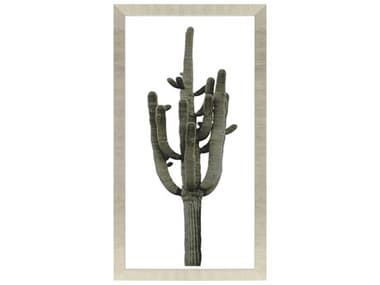 Paragon Florals Saguaro-II Wall Art PAD4150