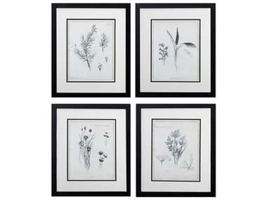 Paragon Florals Latin Botanicals Wall Art Set of 4 PAD46047