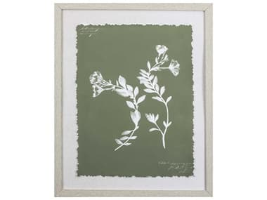 Paragon Florals Botanical Garden-I Wall Art PAD46249