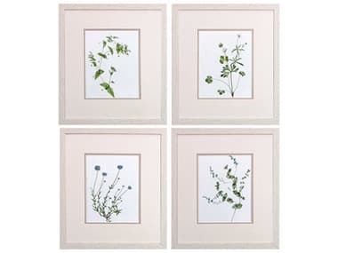 Paragon Florals Botanical Wall Art Set of 4 PAD46417