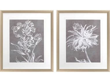 Paragon Florals Botanical Stamp Wall Art Set of 2 PAD46439