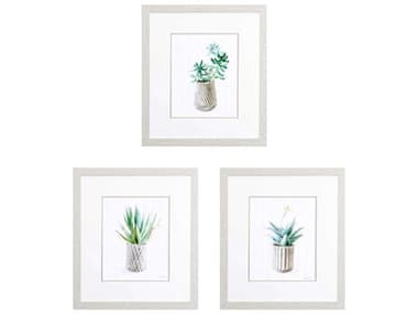 Paragon Florals Potted Succulent-A Wall Art Set of 3 PAD46574