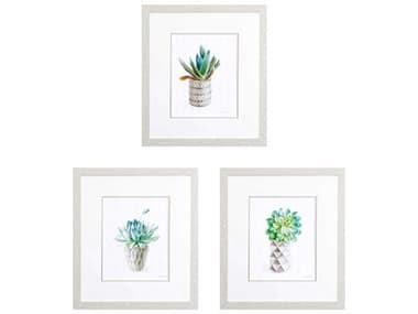 Paragon Florals Potted Succulent-B Wall Art Set of 3 PAD46575