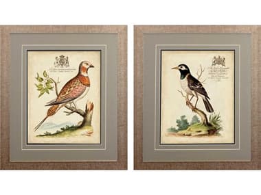 Paragon Florals Regal Birds-A Wall Art Set of 2 PAD46603