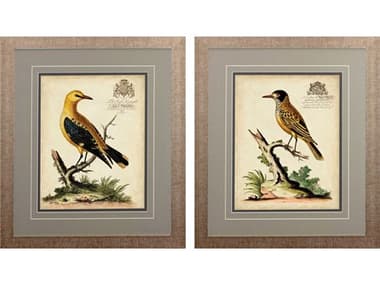 Paragon Florals Regal Birds-B Wall Art Set of 2 PAD46604