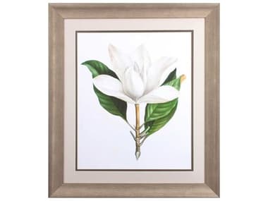 Paragon Florals Magnolia Grandiflora Wall Art PAD46774