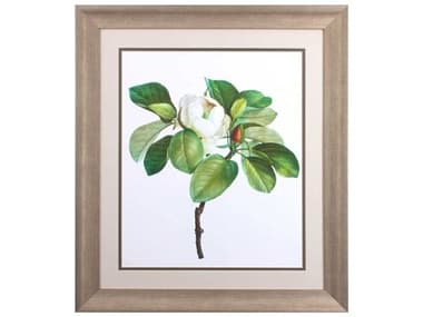 Paragon Florals Magnolia Glauca Wall Art PAD46775