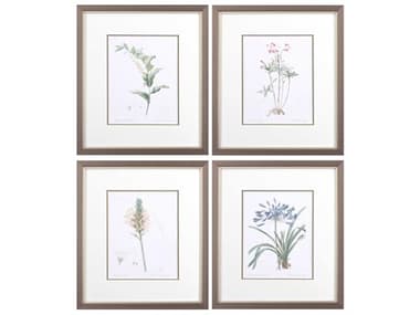 Paragon Florals Plant Science-A Wall Art Set of 4 PAD46776