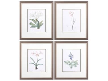 Paragon Florals Plant Science-B Wall Art Set of 4 PAD46777