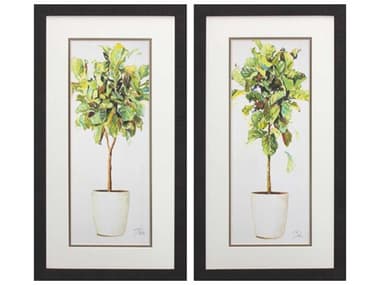 Paragon Florals Essential On White Wall Art Set of 2 PAD46783