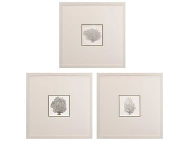 Paragon Waterside Corals-A Wall Art Set of 3 PAD46855