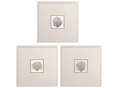 Paragon Waterside Corals-B Wall Art Set of 3 PAD46856