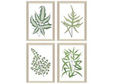 Paragon Florals Collect Leaves Wall Art Set of 4 PAD47014