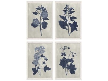 Paragon Florals Pressed Flower-II Wall Art Set of 4 PAD47030