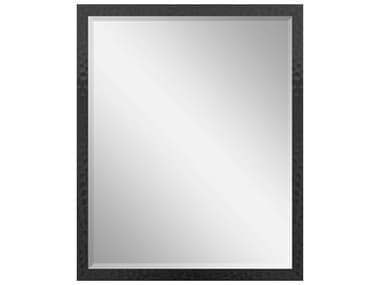 Paragon Black Rectangular Wall Mirror PAD47072