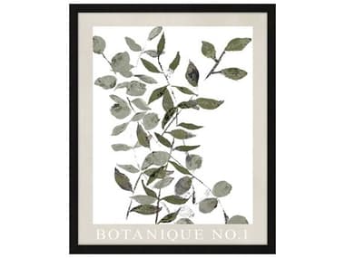 Paragon Florals Botanique No.1 Wall Art PAD47124