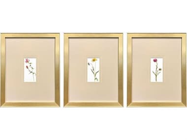 Paragon Florals Pretty Florals-I Wall Art Set of 3 PAD47274