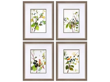 Paragon Florals Botanical Reverie Wall Art Set of 4 PAD47302