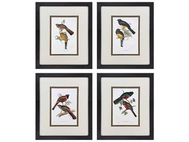 Paragon Animals Elegant Trogons Wall Art Set of 4 PAD47370