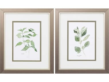 Paragon Florals Herb Garden Sketches Wall Art Set of 2 PAD48022