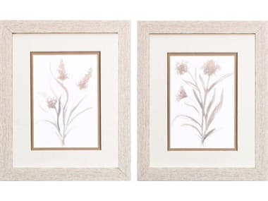 Paragon Florals Neutral Florals Wall Art Set of 2 PAD48054