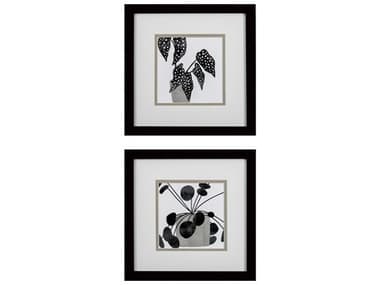 Paragon Florals Plantling-B Wall Art Set of 2 PAD48093