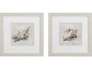 Paragon Waterside Seashell Textures Wall Art Set of 2 PAD48100