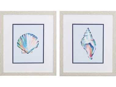 Paragon Waterside Pop Shell Study-B Wall Art Set of 2 PAD48154