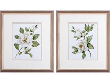 Paragon Florals Magnolia Morning Wall Art Set of 2 PAD48169