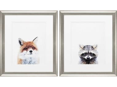 Paragon Juvenile Fox Racoon Wall Art (Set of 2) PAD48246