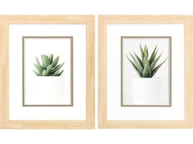 Paragon Florals Succulent Wall Art Set of 2 PAD48419