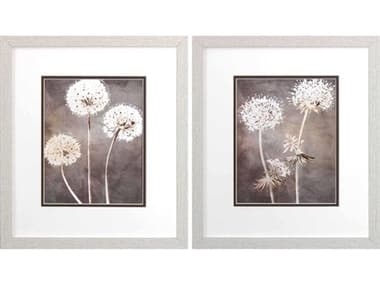 Paragon Florals Dandelion Wall Art Set of 2 PAD48430