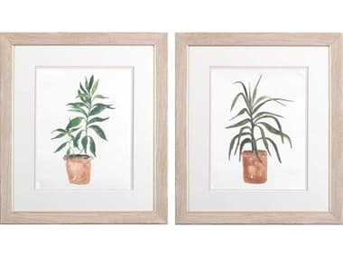 Paragon Florals Dracaena Dragon Tree Wall Art Set of 2 PAD48486