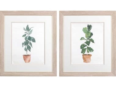 Paragon Florals Rubber Plant Fig Wall Art Set of 2 PAD48487