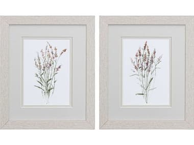 Paragon Florals Dainty Botanical Wall Art Set of 2 PAD48506