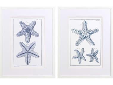 Paragon Waterside Blue Sea Stars-B Wall Art Set of 2 PAD48520